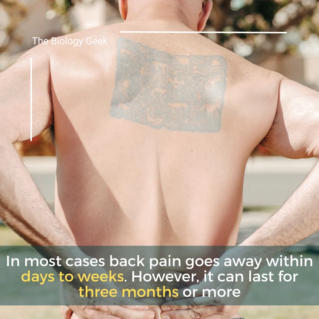  Back pain treatment lower