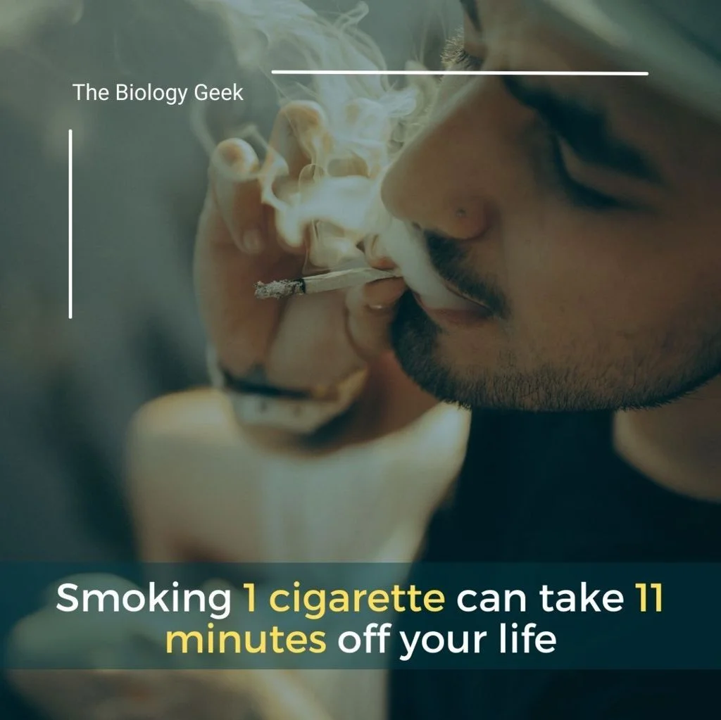 Benefits when quitting smoking