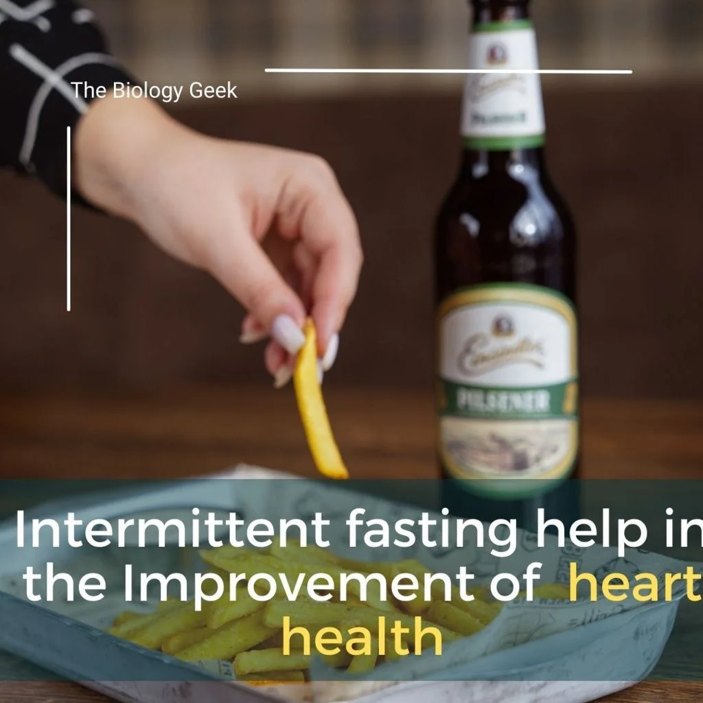 Intermittent fasting in women