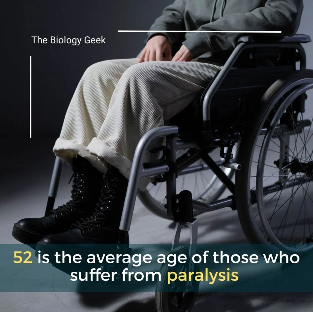 Paralyzed lower body