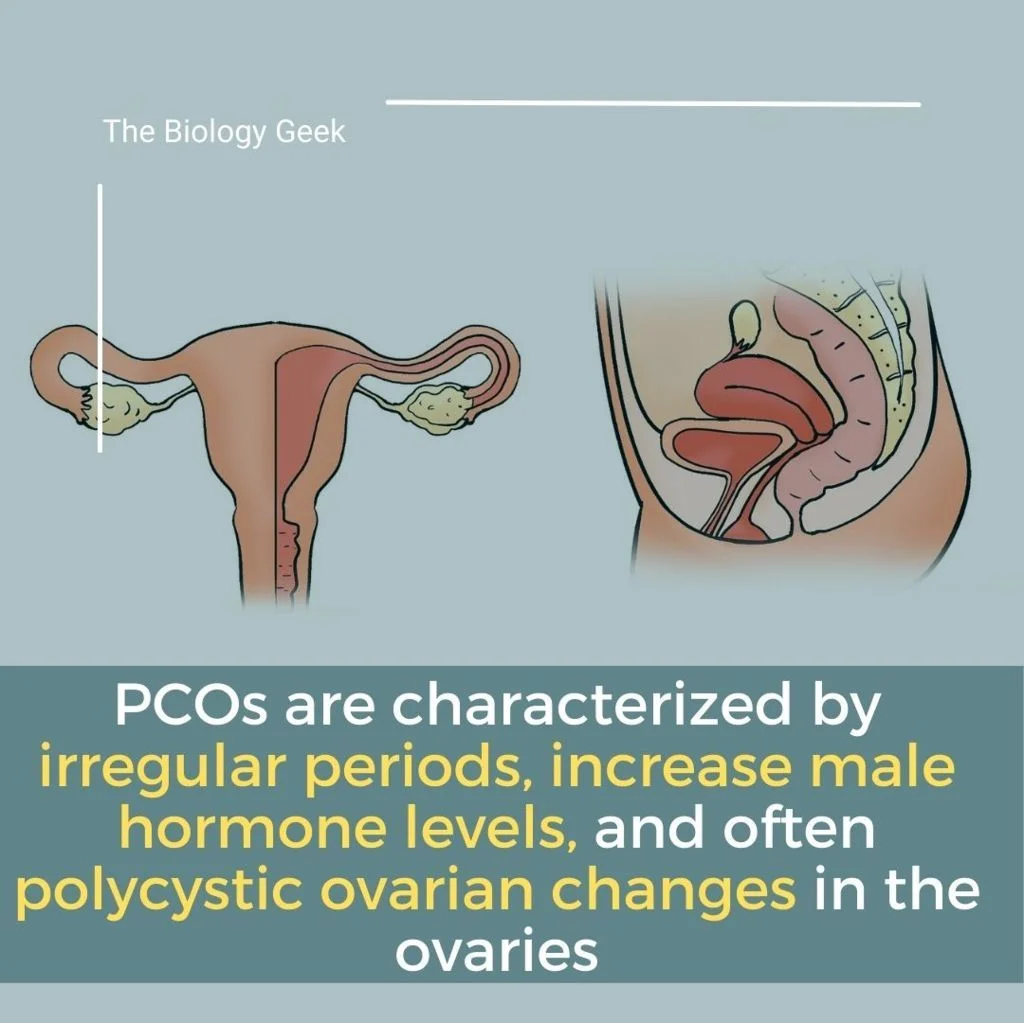 Pcos and getting pregnant naturally