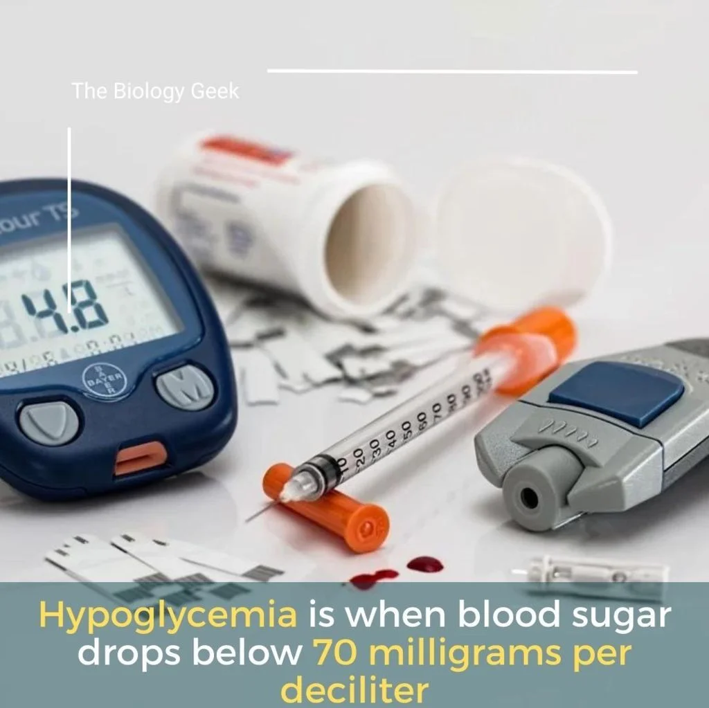 Foods for non diabetics hypoglycemia